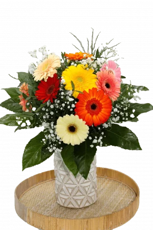 Blumenstrauß 'Fröhliche Vielfalt' mit bunten Germini, zartem Schleierkraut und frischem grünem Beiwerk.