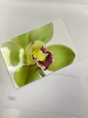 Grußkarten-Orchidee neutral